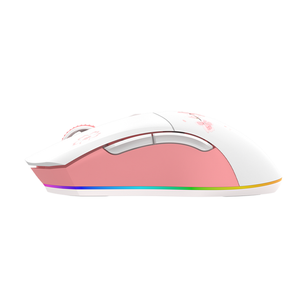 Бездротова ігрова миша DAREU EM901X + Magnetic Charging Dock MS-EM901X-SKR фото